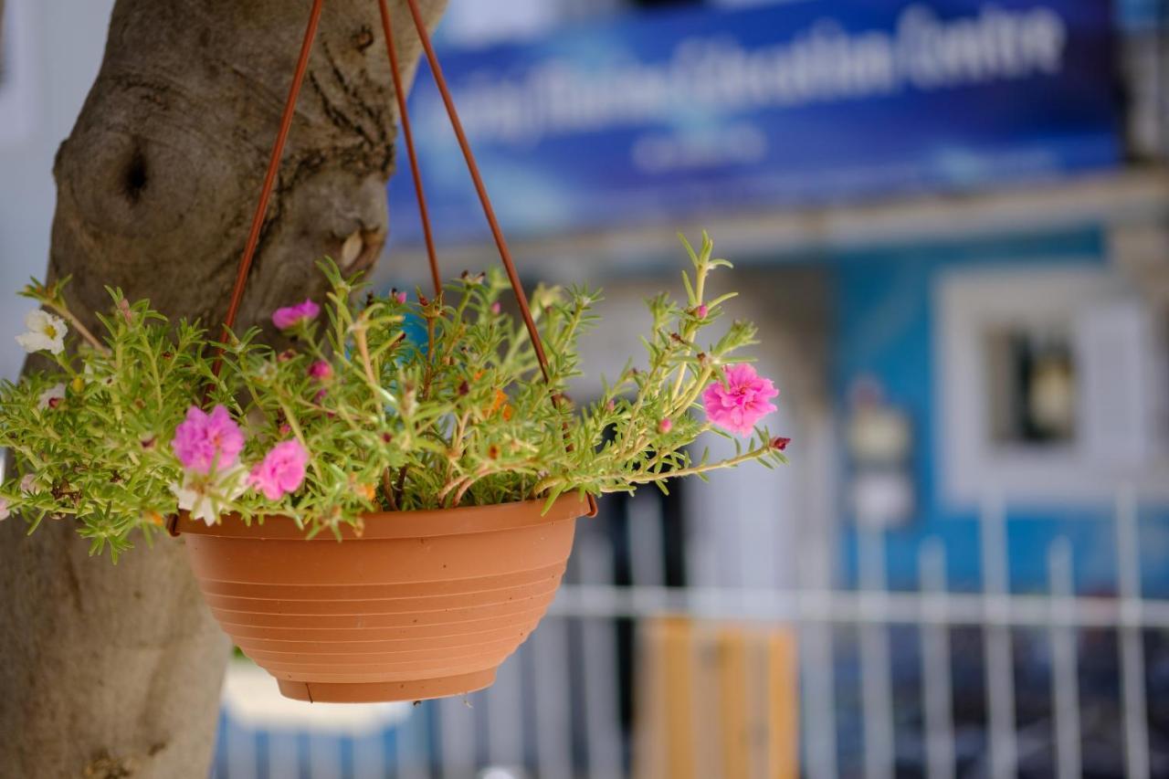Hotel Vila Conte Veli Lošinj Kültér fotó